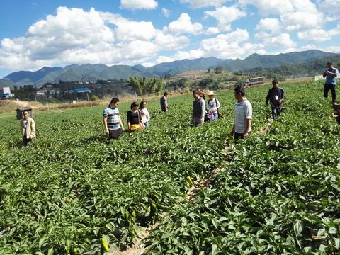 山東乳山市300名科技示范戶喜獲免費化肥
